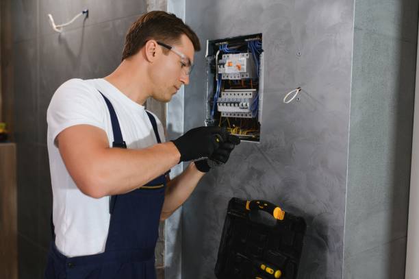 Best Ceiling Fan Installation Electrician  in Lonaconing, MD