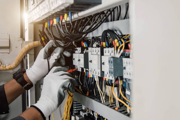Best Electric Panel Repair  in Lonaconing, MD